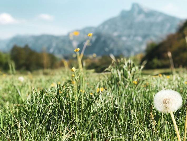 Ferienwohnung für 2 Personen, mit Garten und Seeblick am Mondsee