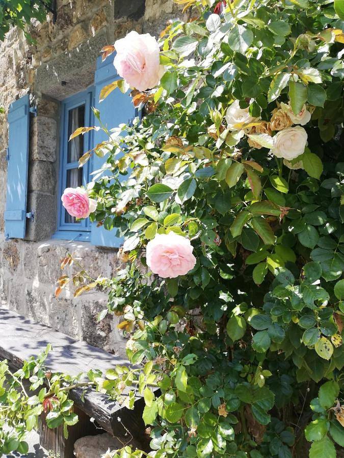 Location de vacances pour 8 personnes, avec terrasse, animaux acceptés à Chanéac