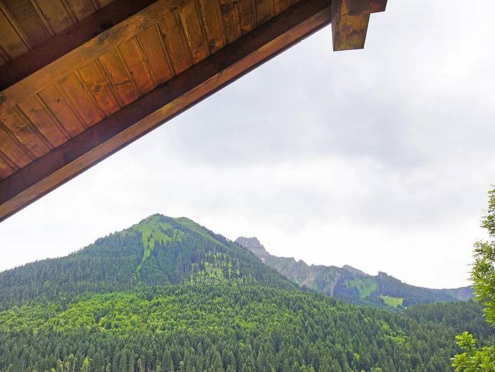 Villa pour 20 personnes, avec terrasse et sauna, animaux acceptés