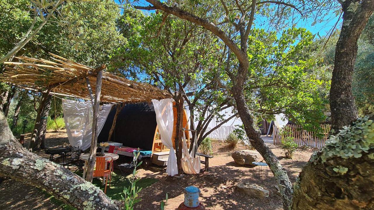 Gîte atypique Le Pod au coeur du maquis in Carbuccia, Parc naturel régional de Corse