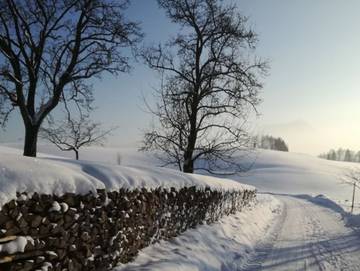 Hütte für 3 Personen in Hausruckviertel, Mondsee & Irrsee, Bild 3