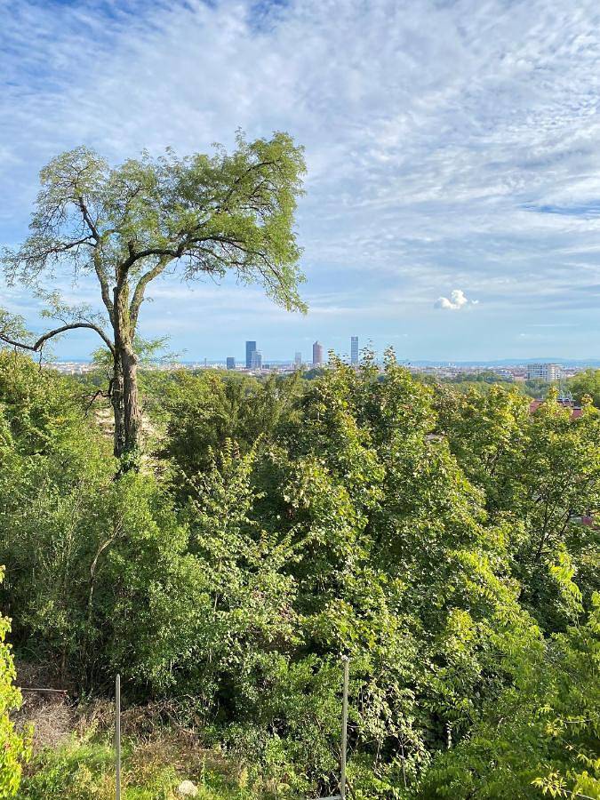 Location de vacances pour 8 personnes, avec vue et jardin à Caluire-et-Cuire - 3