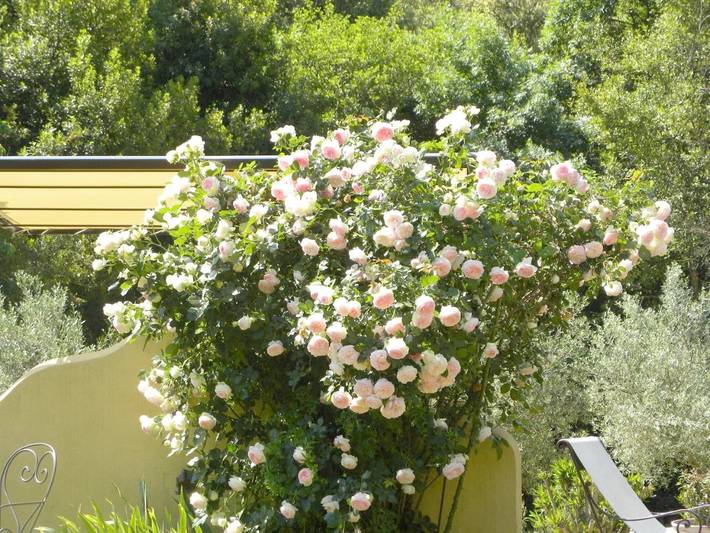 Chambre d’hôte pour 4 personnes, avec piscine ainsi que jacuzzi et jardin à Le Plan-de-la-Tour - 4