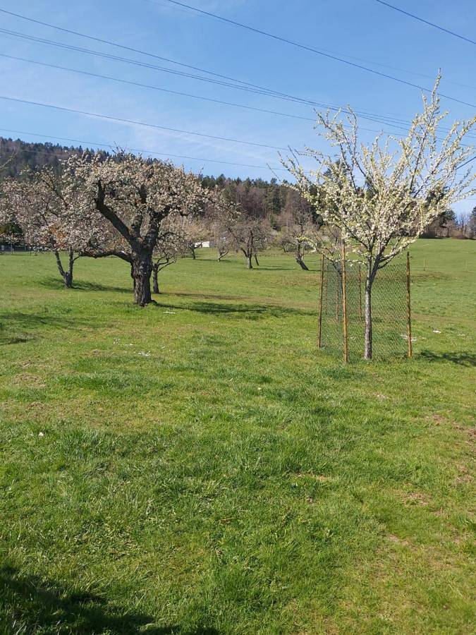 Maison de vacances pour 3 personnes, avec jardin et vue, adapté aux familles