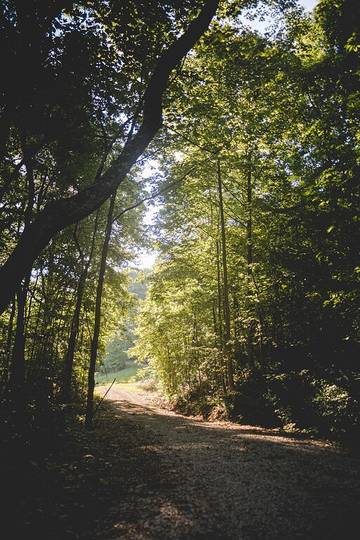Camping for 4 Guests in Ohio, USA, Picture 2