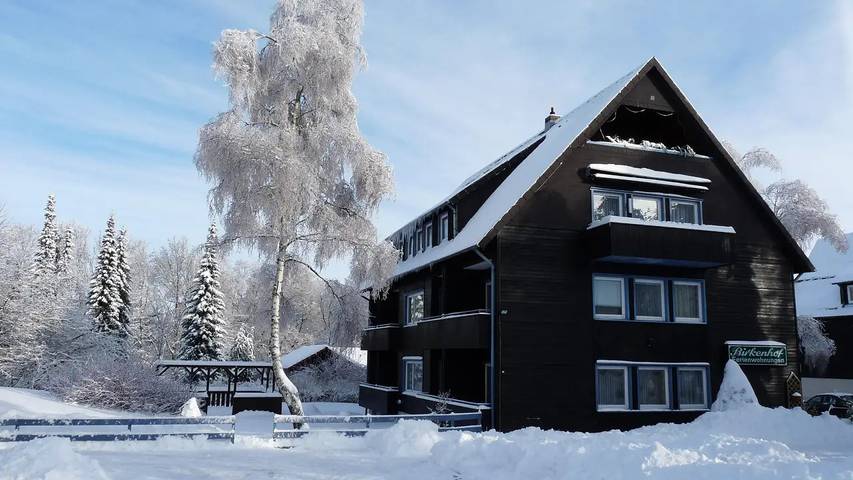 Ferienwohnung für 4 Personen, mit Balkon und Garten sowie Sauna in Goslar - 2