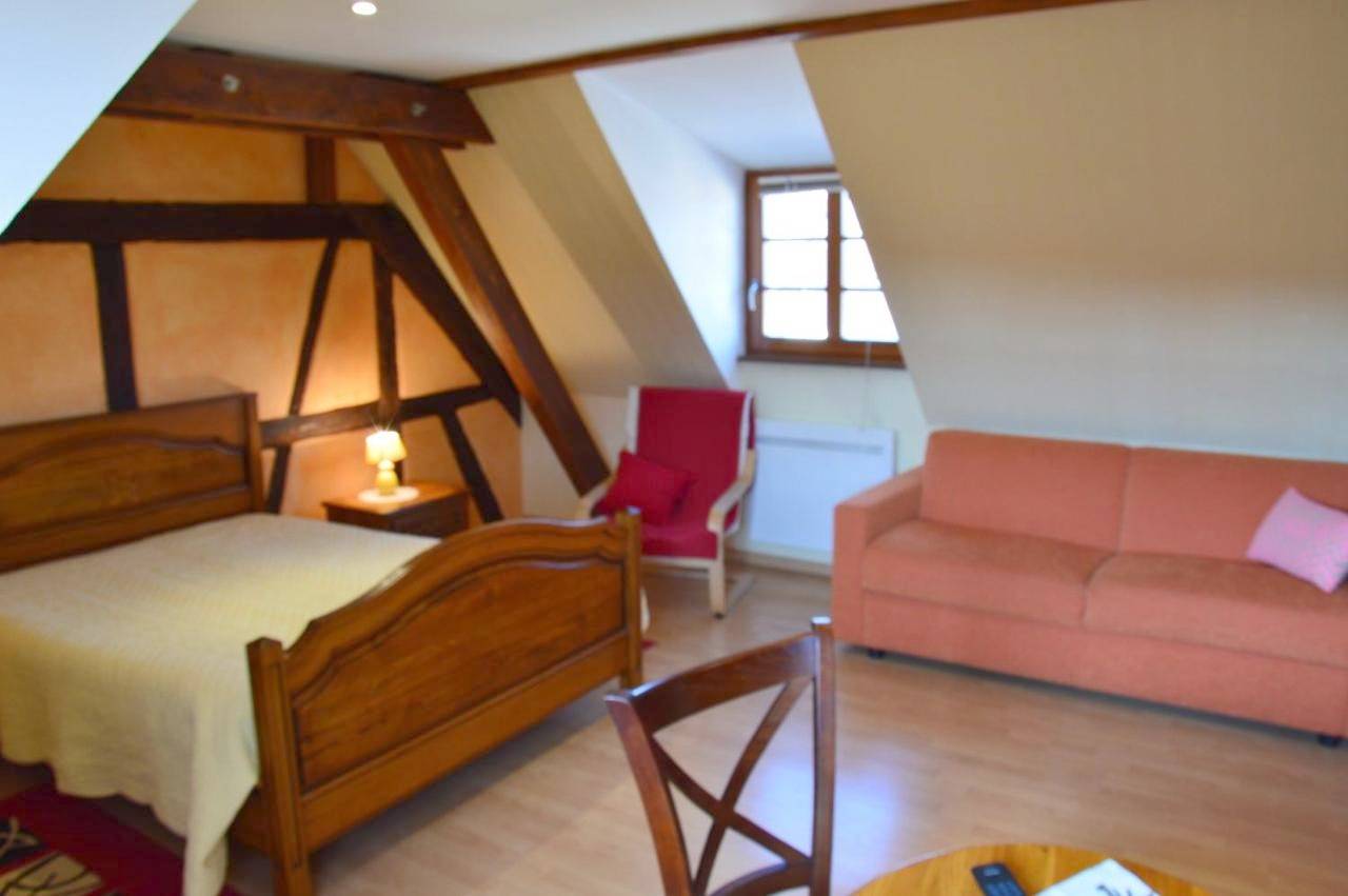 Double Room in Eguisheim, Parc naturel régional des Ballons des Vosges