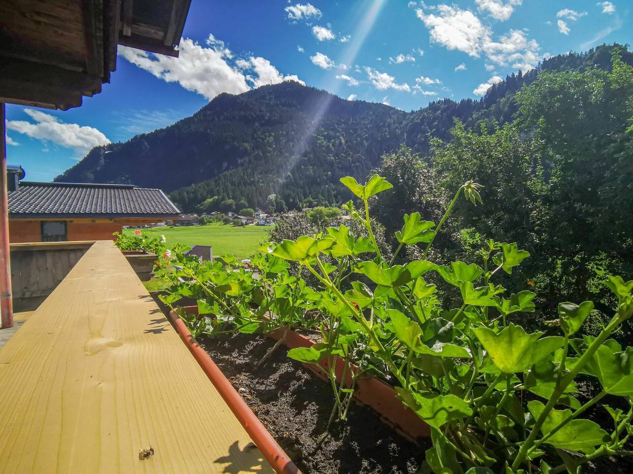 Kainer - Kainer 603.1 in Strass im Zillertal, Kitzbüheler Alpen