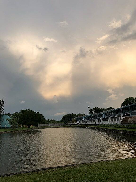 Villa pour 4 personnes, avec terrasse et jacuzzi, animaux acceptés dans Floride - 4