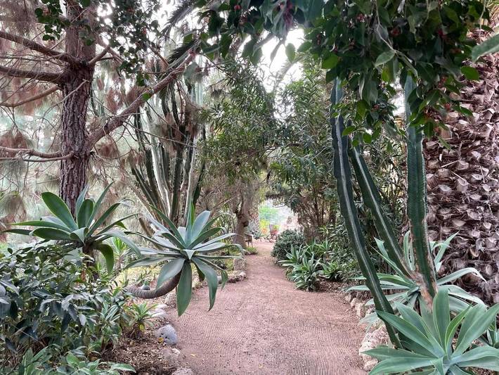 Casa rural para 2 personas, con jardín y sauna además de vistas y piscina, Se admiten mascotas en Arico - 3