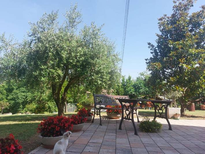 Bed and breakfast per 4 persone, con piscina e panorama nonché giardino e balcone - 1