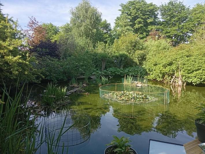 Chambre d’hôte pour 2 personnes, avec jardin et piscine ainsi que vue sur le lac et vue, animaux acceptés dans le Calvados - 2