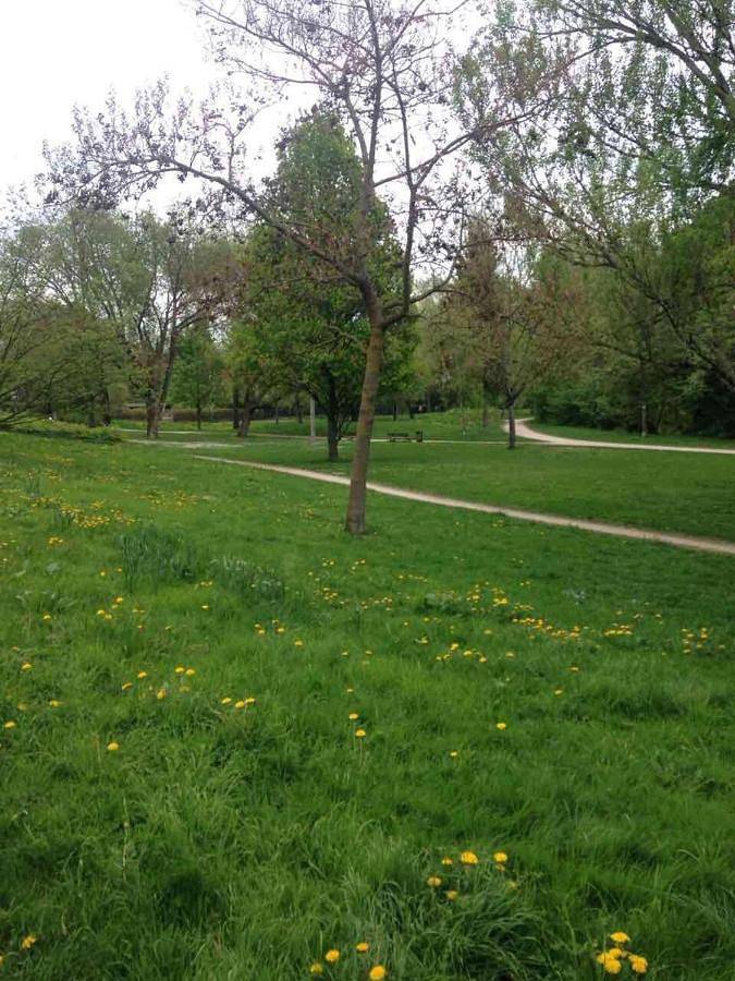 Ferienwohnung für 6 Personen, mit Balkon und Ausblick sowie Seeblick in Straßburg - 4