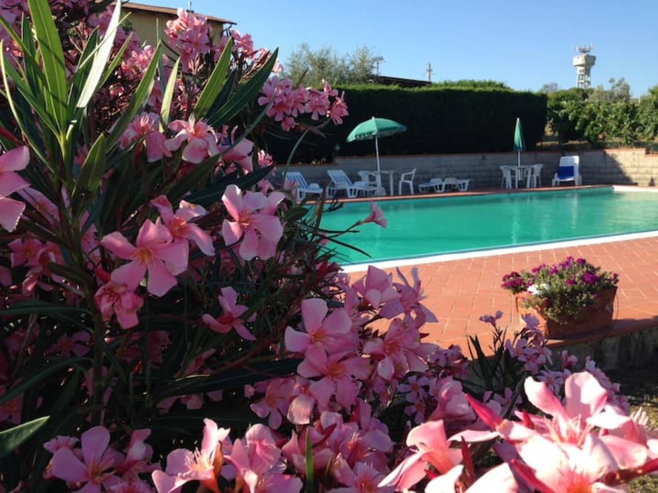 Appartement entier, Casina – Appartement toscan avec piscine au cœur des vignes et oliviers in Montespertoli, Province de Florence