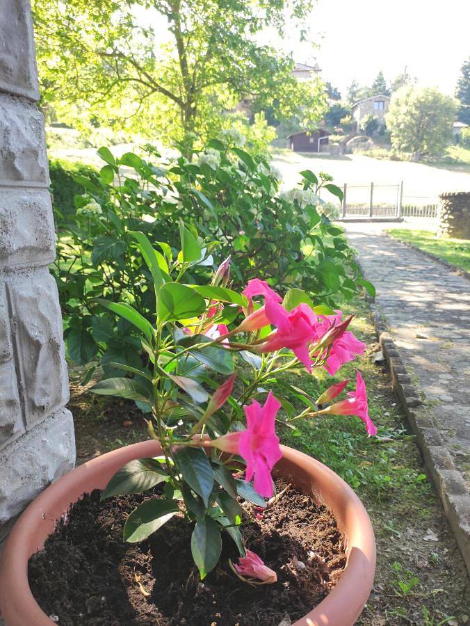 Location de vacances pour 4 personnes, avec jardin à Camugnano - 4