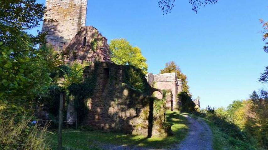 Ferienwohnung für 2 Personen, mit Sauna und Garten im Odenwald - 3