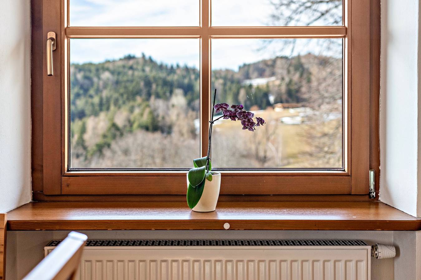 Geheel appartement, Boerderij 'Alpin Farm Linde' met uitzicht op de bergen, gedeelde tuin en Wi-Fi in Klobenstein, Ritten