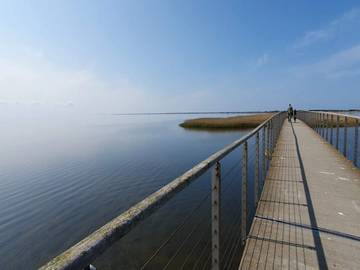 Strandhaus für 3 Personen in Ringkøbing, Westküste Dänemarks, Bild 4