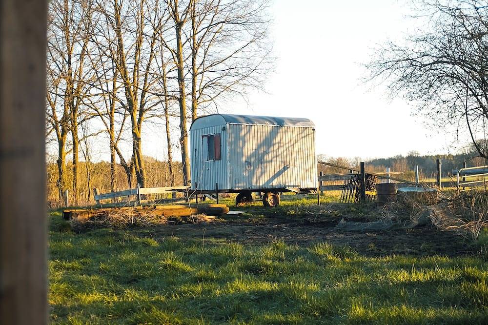 Ganze Wohnung, An'n Feldkamp — Ferienwohnung auf dem Bauernhof in Emsdetten, Münsterland