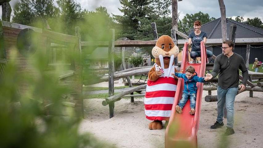 Ferienhaus für 7 Personen, mit Terrasse und Whirlpool sowie Sauna, mit Haustier im Zittauer Gebirge - 2