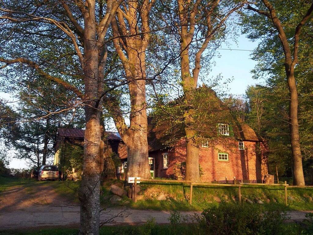 Ganze Wohnung, Ferienhaus Romantisches Reetdachhaus in Schnarup-Thumby, Grünes Binnenland