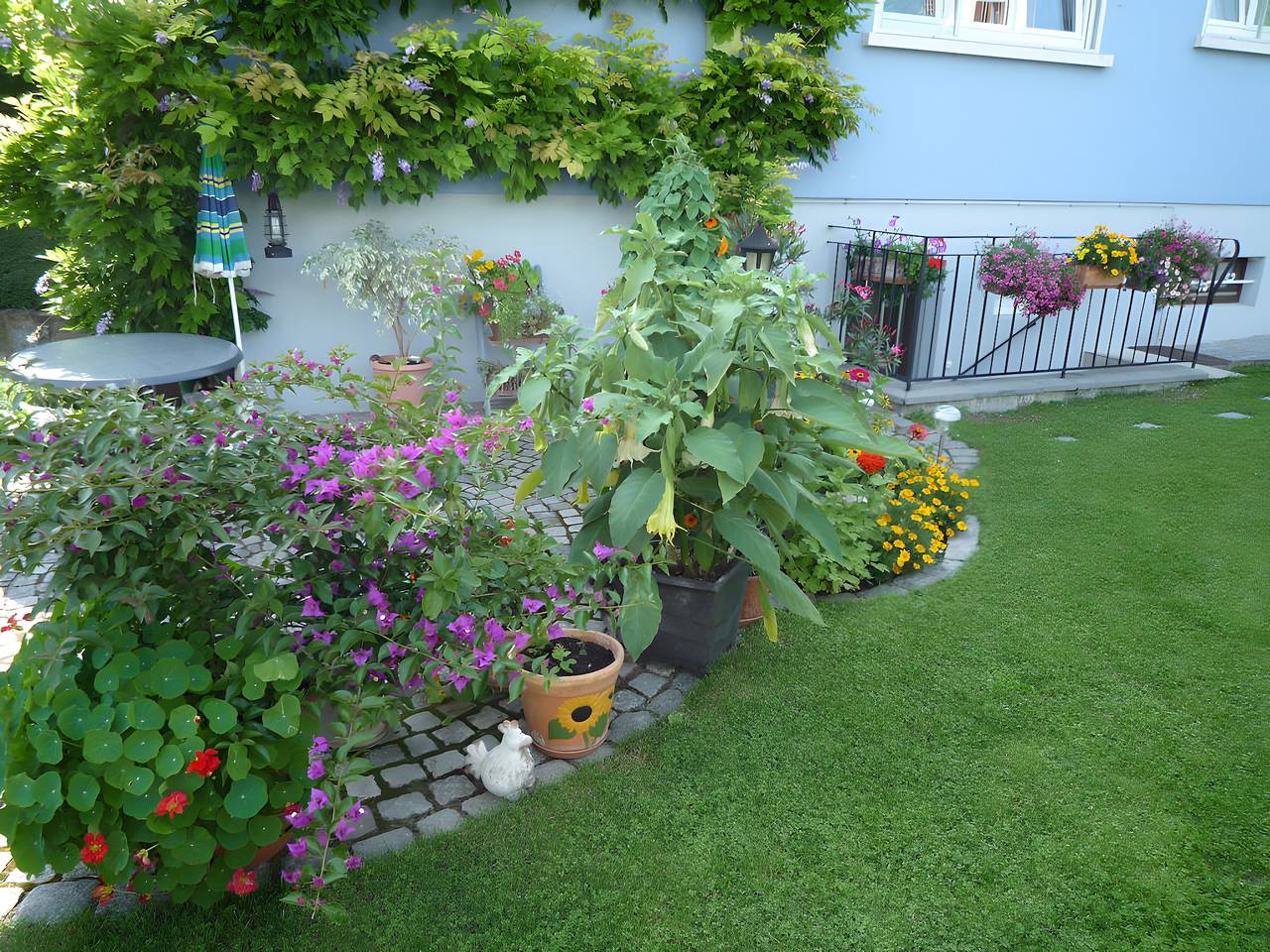 Cottage 'Gîte Rural a la Orilla del Bosque' con Terraza Privada, Jardín y Wi-Fi in Kutzenhausen, Región de Wissembourg