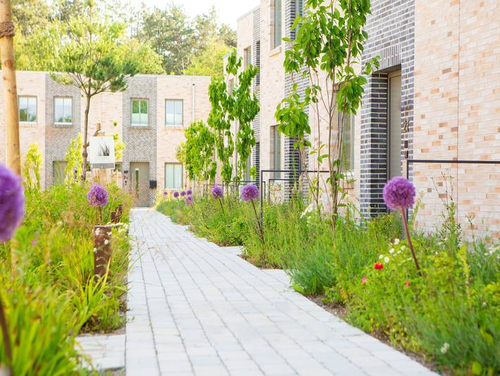 Ferienhaus für 3 Personen, mit Pool und Sauna sowie Garten und Balkon, kinderfreundlich in St. Peter-Ording - 2