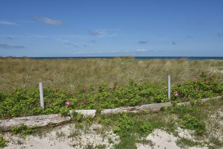 Ferienhaus für 3 Personen, mit Garten in Dierhagen - 2