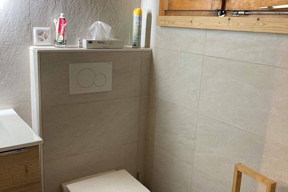 Gemütliches und gemütliches Ferienhaus mit herrlichem Bergblick in Leysin, Alpes Vaudoises