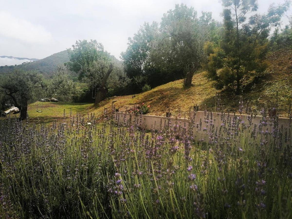 L'Opuntia sul lago in Caccamo, Provincia di Palermo