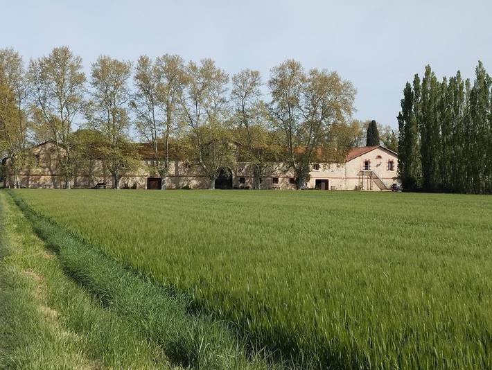 Location de vacances pour 4 personnes, avec piscine ainsi que vue et sauna à Fourques - 3