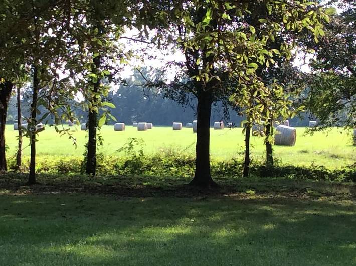 Cabin for 4 people, with terrace and pool as well as yard in Mississippi
