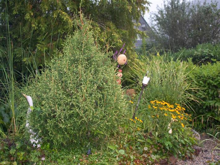 Ferienwohnung für 4 Personen, mit Garten, kinderfreundlich in Saarburg und Umgebung - 4