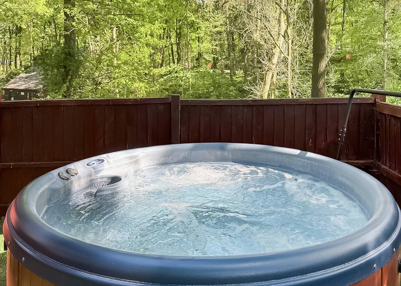 Woodland Birch Lodge in Shropshire
