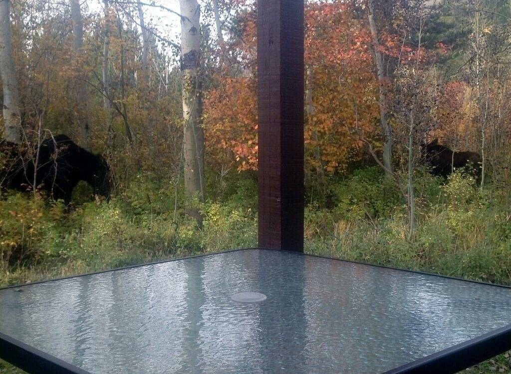 Ganze Wohnung, Nestle in den Frieden und die Ruhe der Espen in Moose Wilson Road, Grand Teton Nationalpark