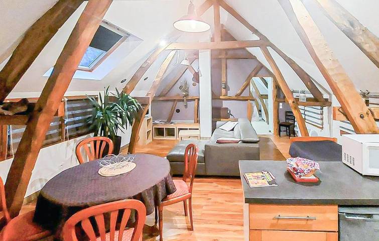 Location de vacances pour 7 personnes, animaux acceptés à Renty - 3