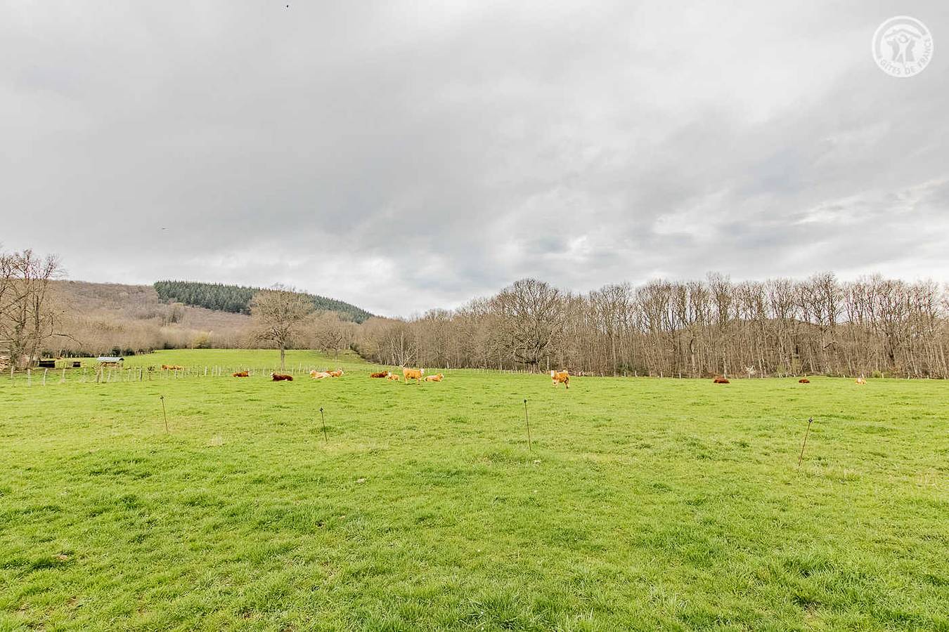 Le Meix in Barizey, Région de Chalon-sur-Saône