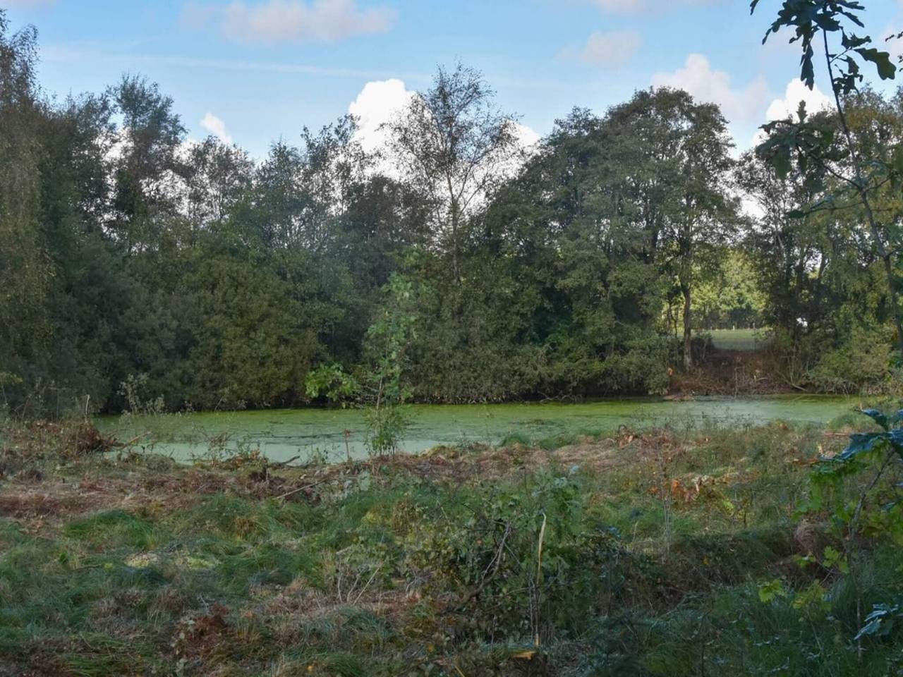 4 star holiday home in Ansager-By Traum in Varde Region