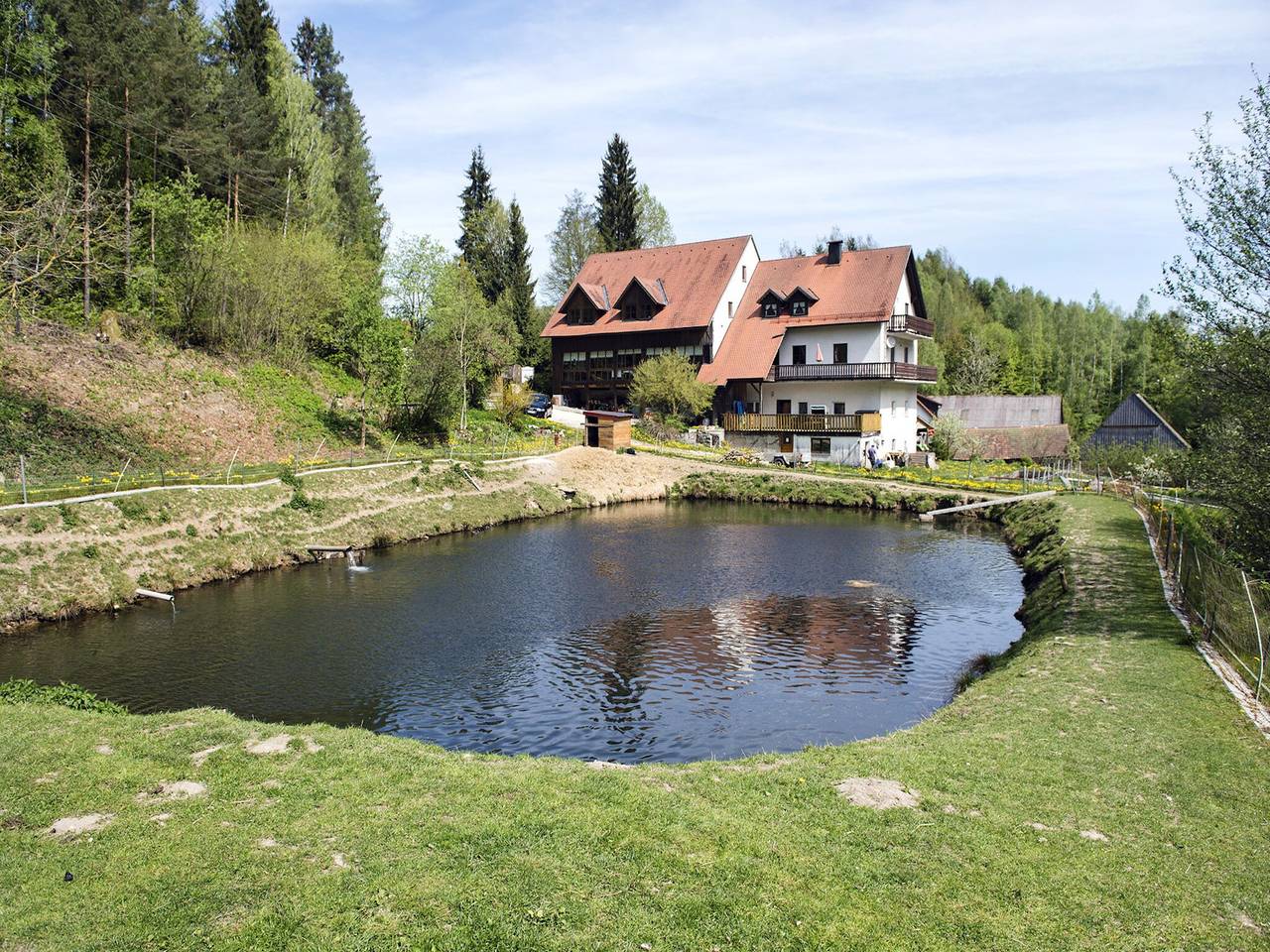 Ganze Wohnung, Ferienwohnung, Schönsee in Schönsee, Naturpark Oberpfälzer Wald