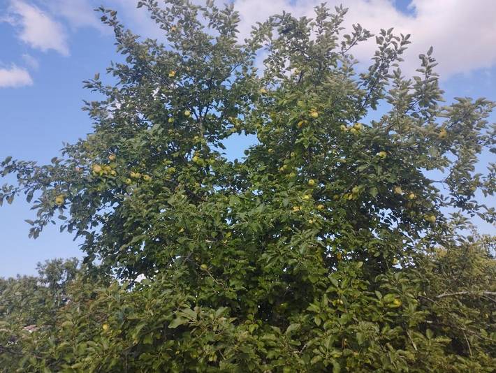Gîte pour 2 personnes, avec jardin à Saint-Aigulin - 3