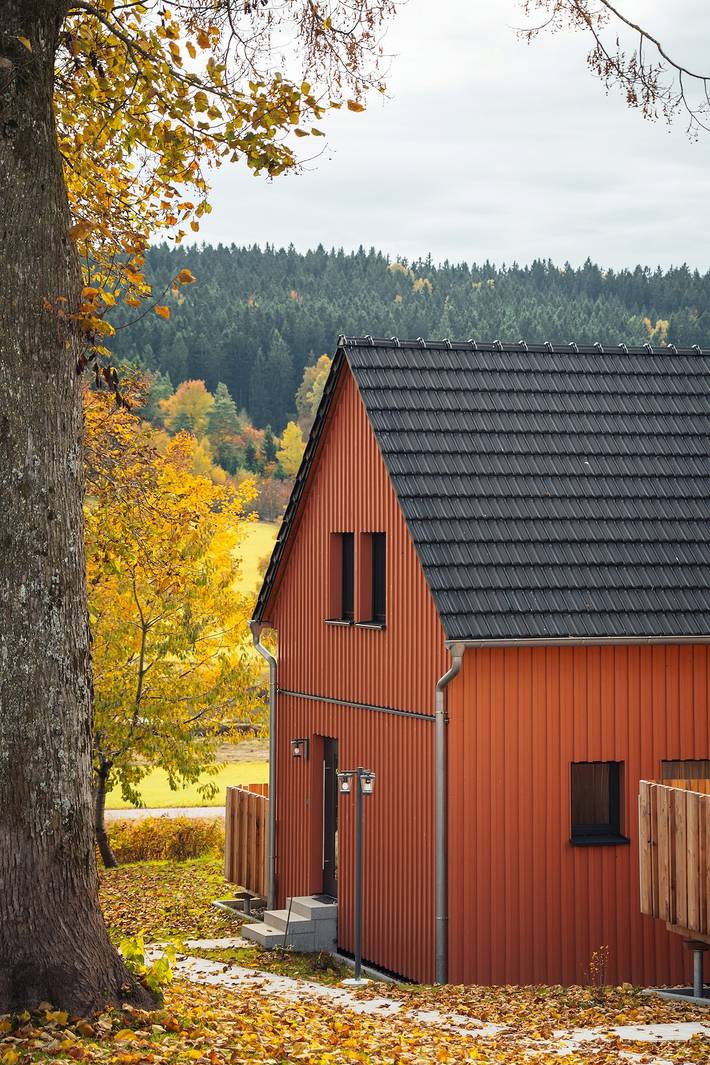 Ferienhaus für 4 Personen, mit Pool und Balkon sowie Sauna und Balkon/Terrasse in Naturpark Oberpfälzer Wald - 4