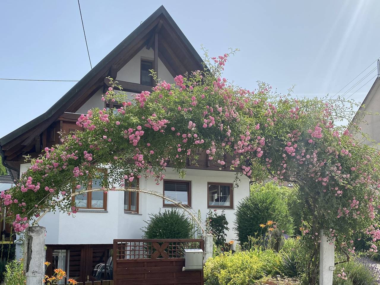 Ganze Ferienwohnung, Ferienwohnung Dalea - Ferienwohnung mit 47qm, 1 Doppelbett und optional ein Schlafsofa, max. für 4 Personen in Bad Waldsee, Region Bodensee-Oberschwaben