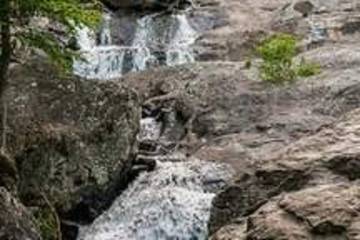 Vacation House for 5 Guests in Maryland, USA, Picture 4