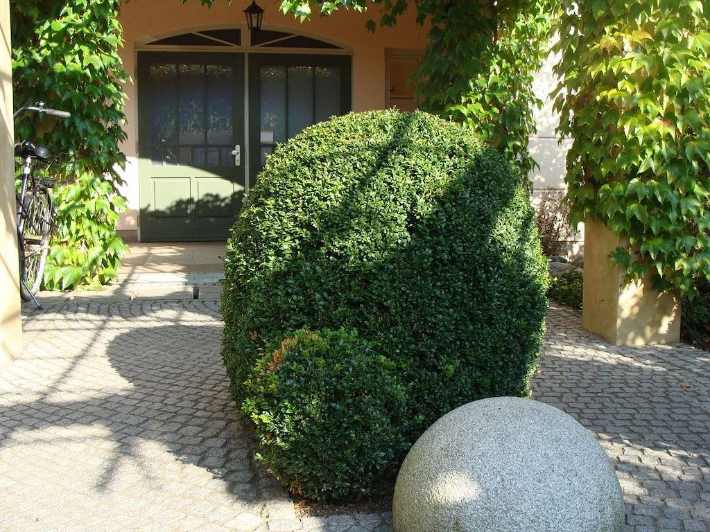 Residenz Seestern, Wohnung 04 in Ostseebad Kühlungsborn, Kühlungsborn