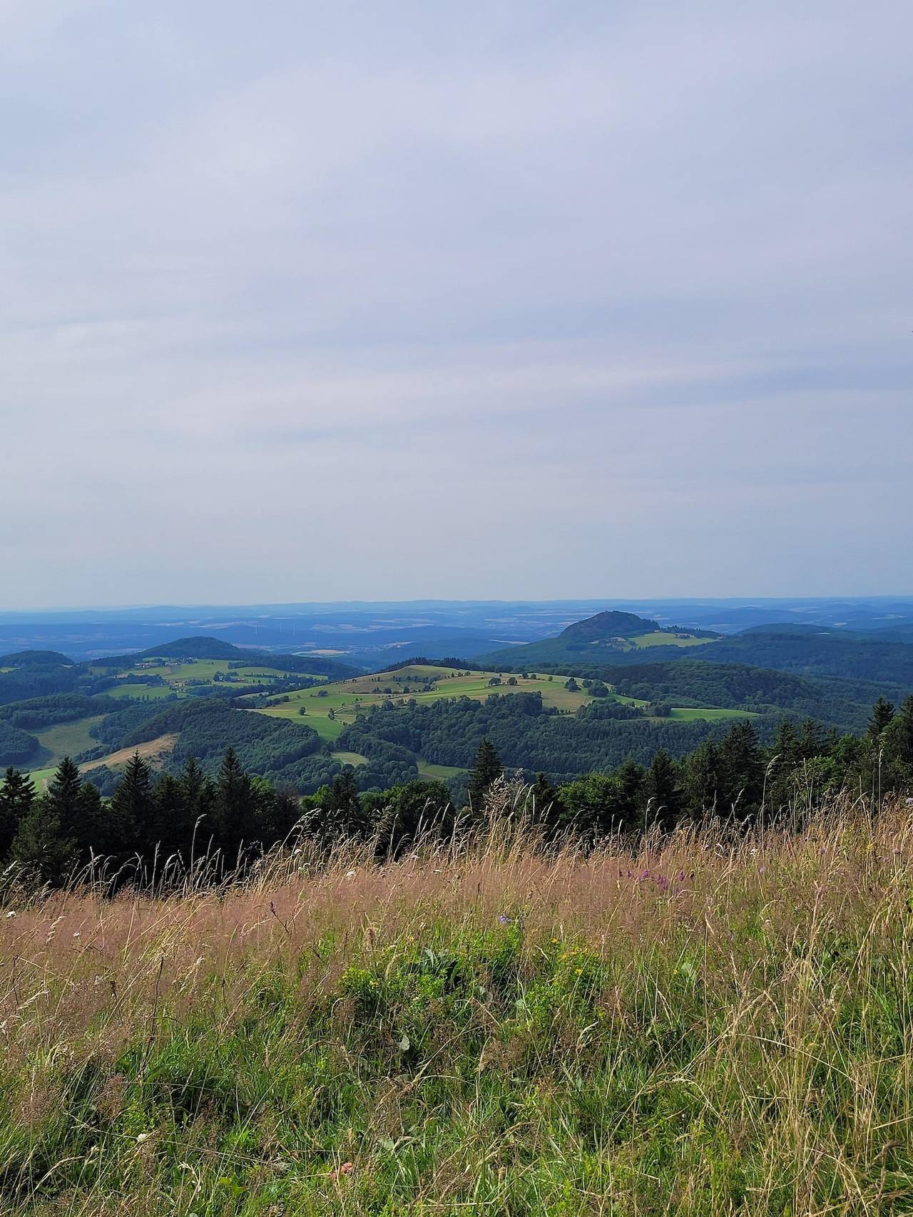 Ganze Ferienwohnung, Appartement/Fewo, Dusche, Wc, Wohn-/Schlafraum in Gersfeld, Rhön-Hessen
