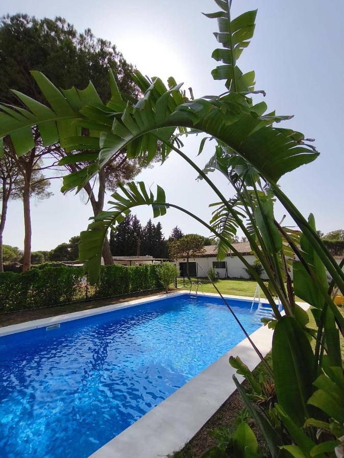 Casa rural para 15 personas, con jardín además de piscina y vistas, Se admiten mascotas en Arcos de la Frontera - 3