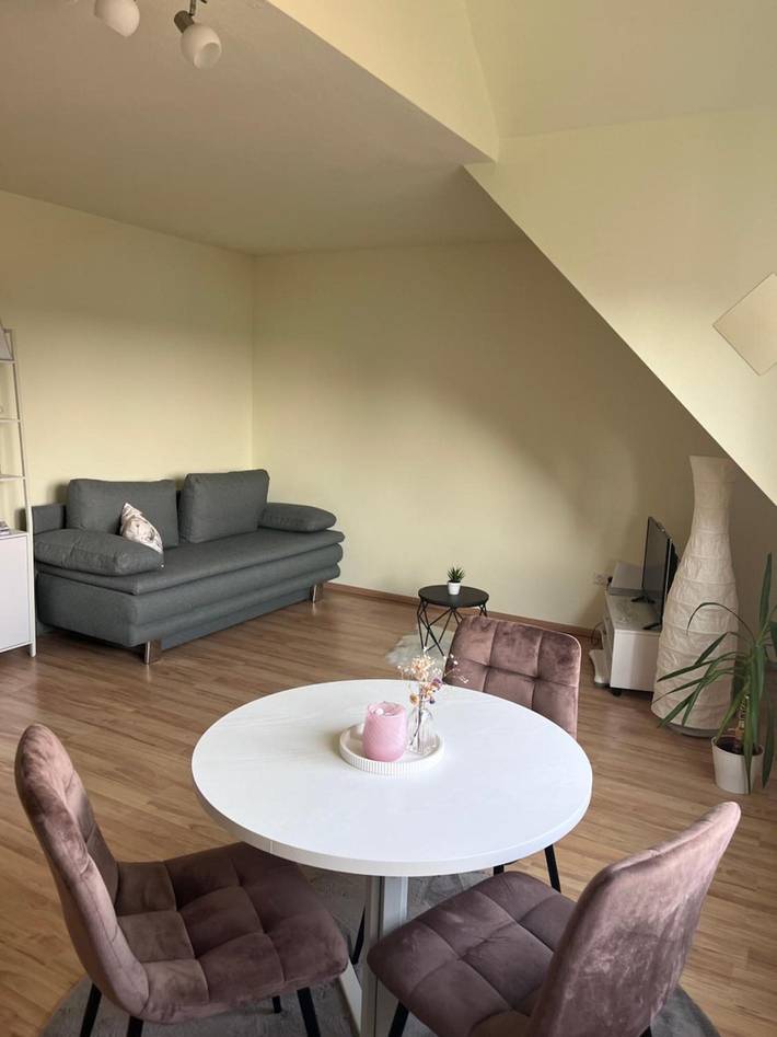 Geheel appartement, Appartement met slaap- en badkamer in huis, wifi inbegrepen in Tettnang, Region Bodensee-Oberschwaben