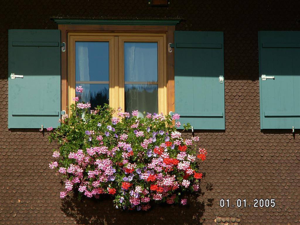 Ganze Ferienwohnung, Ferienhof Schneider in Blaichach, Bayerisch Schwaben