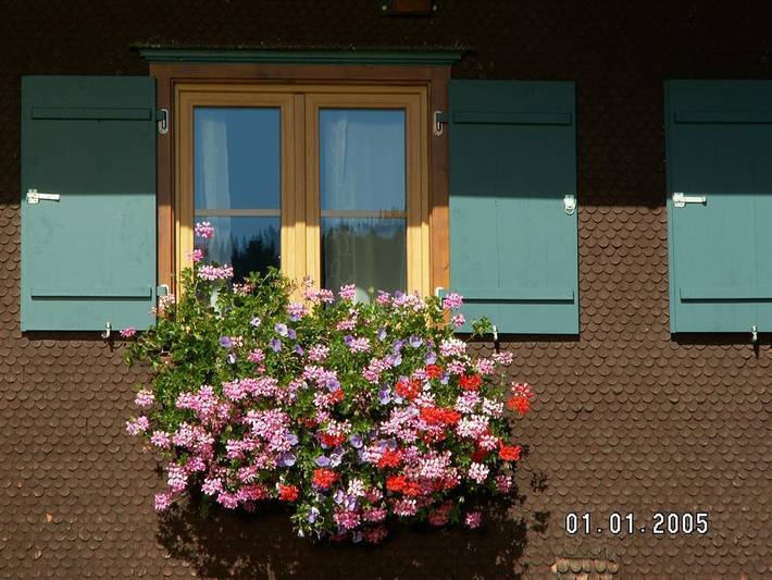 Ganze Ferienwohnung, Steineberg in Blaichach, Bayerisch Schwaben