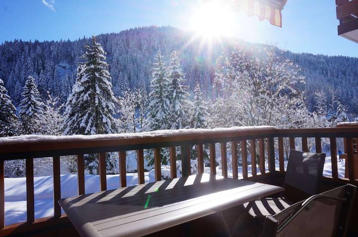 Holiday letting for 4 people, with balcony, with pets in Le Grand-Bornand